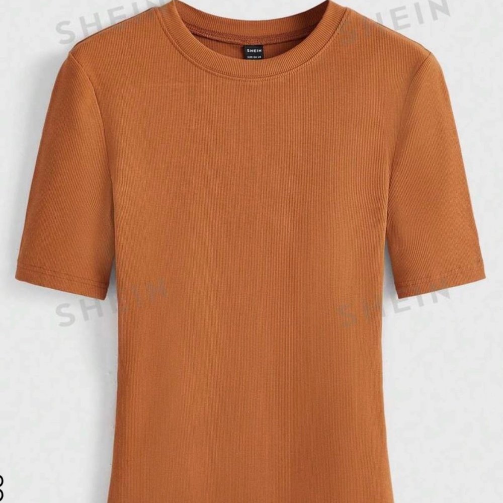 NEW BY SHEIN Men Ribbed Knit Round Neck Tee SIZE Med Burnt Orange Fall Spring